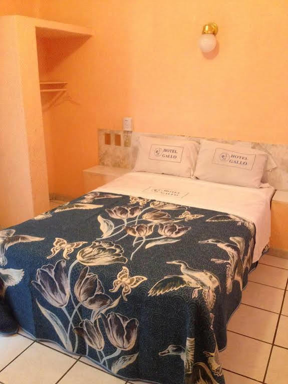 Hotel Gallo Rubio Guadalajara Extérieur photo